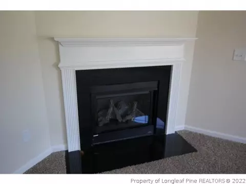 202 Angel Oak Dr, Bunnlevel, NC 28323 photo 8