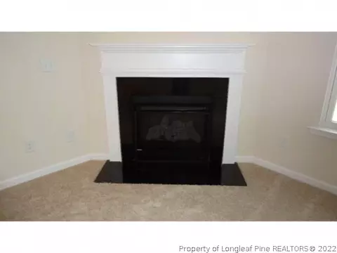 220 Angel Oak Dr, Bunnlevel, NC 28323 photo 8