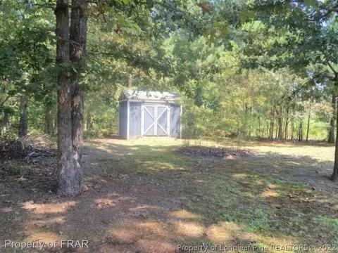 209 Beechleaf Ct, Cameron, NC 28326 photo 17