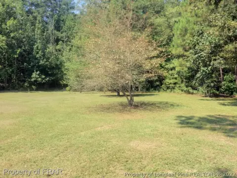 209 Beechleaf Ct, Cameron, NC 28326 photo 16