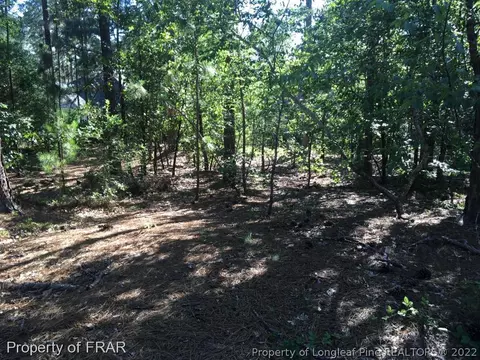5 Palm Ln, Pinehurst, NC 28374 photo 1