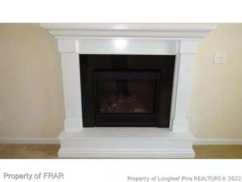 719 Wood Point Dr, Bunnlevel, NC 28323 photo 15