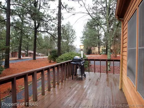 220 Firetree Ln, West End, NC 27376 photo 3