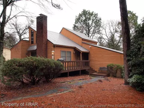 220 Firetree Ln, West End, NC 27376 photo 1