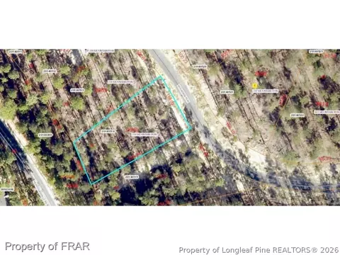 394 Mountain Run, West End, NC 27376 photo 4