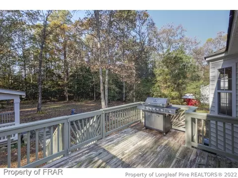 147 Pebblestone Ct, Willow Spring, NC 27592 photo 22