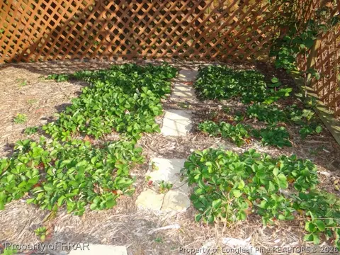 91 Turkey Oak, Bunnlevel, NC 28323 photo 31