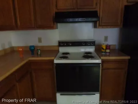 135 Eulon Loop, Raeford, NC 28376 photo 7