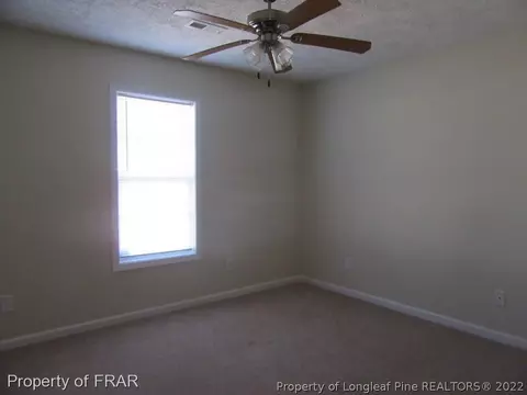 925 Raspberry Rd, Stedman, NC 28391 photo 21