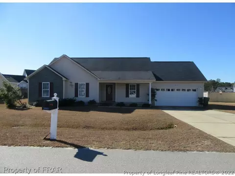 925 Raspberry Rd, Stedman, NC 28391 photo 1