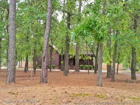 985 Line Rd, Cameron, NC 28326 photo 22