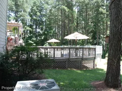 281 Greenleaf, Angier, NC 27501 photo 28