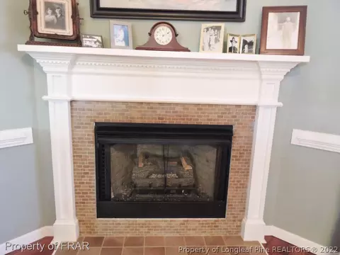 281 Greenleaf, Angier, NC 27501 photo 4