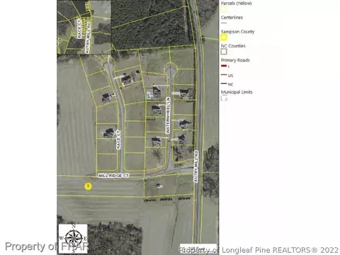 95 Mill Ridge Ct, Godwin, NC 28344 photo 4
