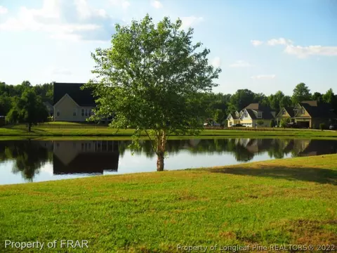 146 Saw Grass Ct, Bunnlevel, NC 28323 photo 36