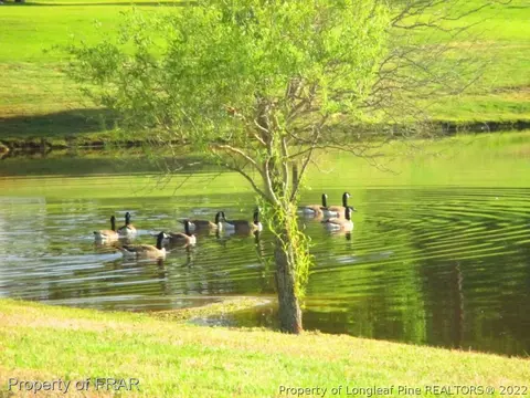 146 Saw Grass Ct, Bunnlevel, NC 28323 photo 3