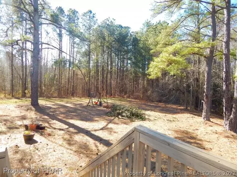 56 Sword Loop, Broadway, NC 27505 photo 5
