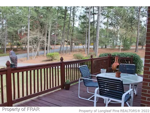 139 Firetree Ln, West End, NC 27376 photo 22