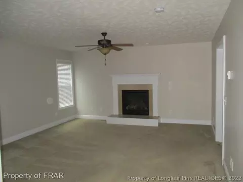 375 Spring Flowers Dr, Cameron, NC 28326 photo 2