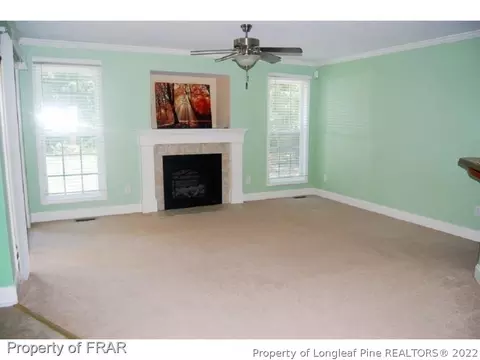 74 Micro Ct, Broadway, NC 27505 photo 3