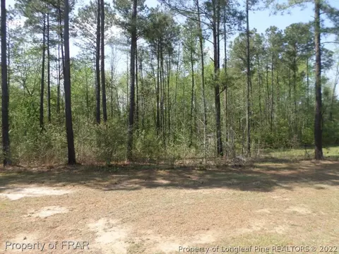 266 Tactical Dr, Bunnlevel, NC 28323 photo 30