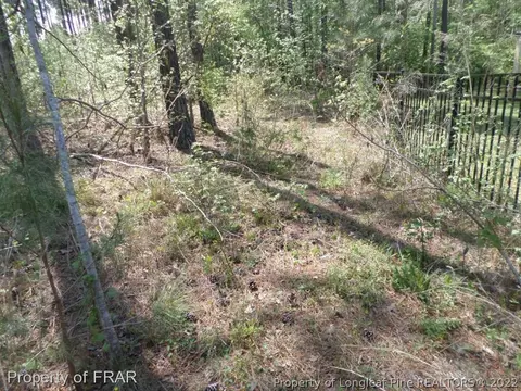 266 Tactical Dr, Bunnlevel, NC 28323 photo 26