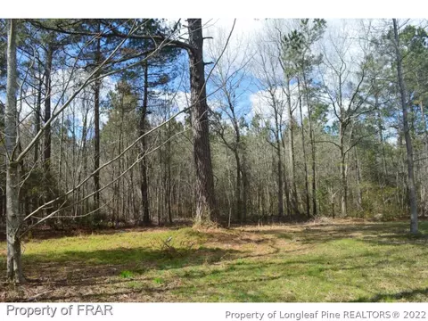 6284 Bluman Rd, Godwin, NC 28344 photo 6