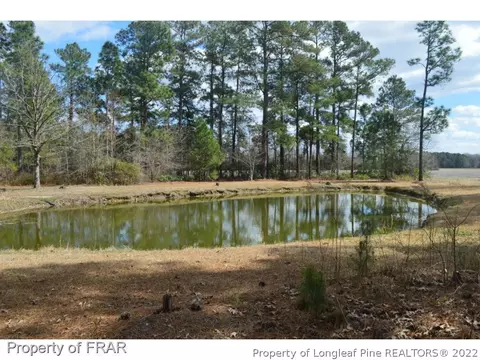 6284 Bluman Rd, Godwin, NC 28344 photo 8