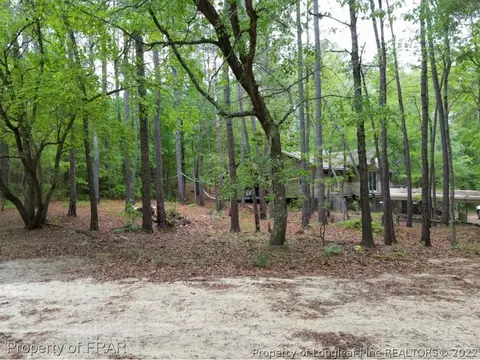 420 Farley Rd, Cameron, NC 28326 photo 3