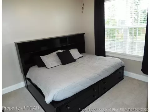377 Strike Eagle Dr, Broadway, NC 27505 photo 22