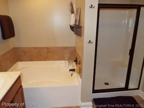 377 Strike Eagle Dr, Broadway, NC 27505 photo 17