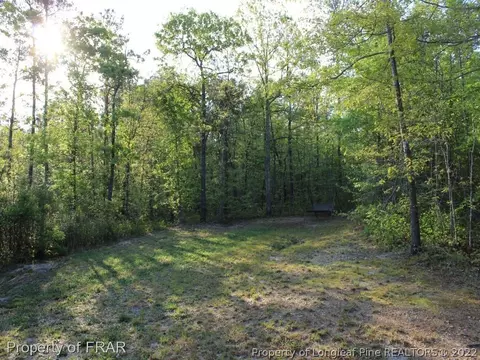 315 Juno Dr, Broadway, NC 27505 photo 21