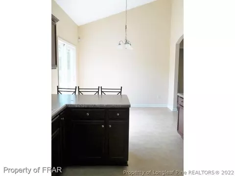 315 Juno Dr, Broadway, NC 27505 photo 14