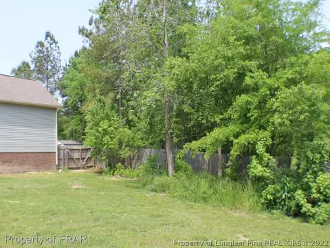 315 Juno Dr, Broadway, NC 27505 photo 20