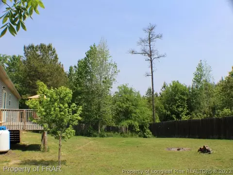 315 Juno Dr, Broadway, NC 27505 photo 23