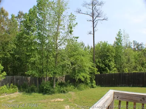 315 Juno Dr, Broadway, NC 27505 photo 26