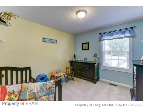 220 Waters Edge Dr, Erwin, NC 28339 photo 19