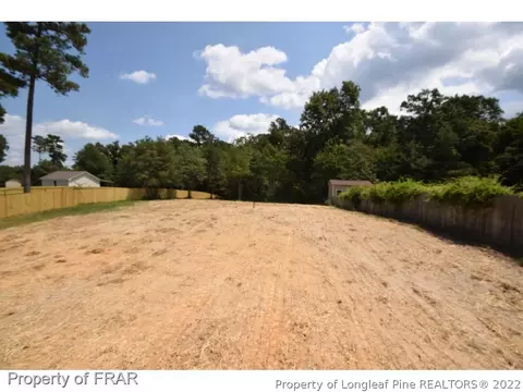 78 Saw Grass Ct, Bunnlevel, NC 28323 photo 15
