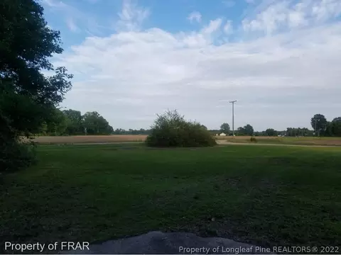 7266 Us 401 S, Bunnlevel, NC 28323 photo 18