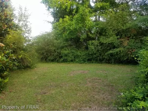 7266 Us 401 S, Bunnlevel, NC 28323 photo 20