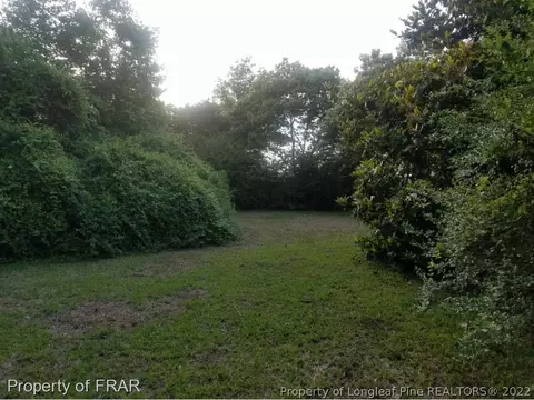 7266 Us 401 S, Bunnlevel, NC 28323 photo 19