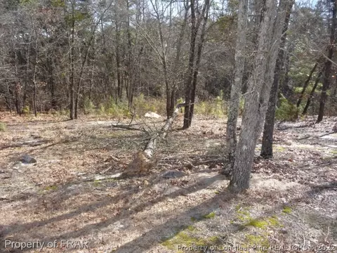 138 Pineridge, Cameron, NC 28326 photo 23