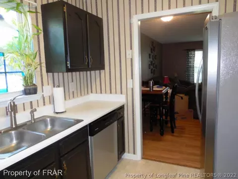 16 Bridgewater Dr, Erwin, NC 28339 photo 14