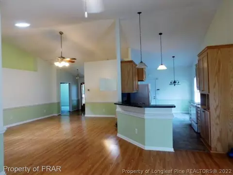 231 Waters Edge Dr, Erwin, NC 28339 photo 3
