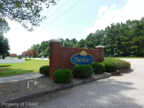 231 Waters Edge Dr, Erwin, NC 28339 photo 22