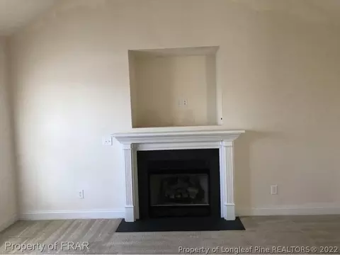 36 Jumpmaster Dr, Broadway, NC 27505 photo 3