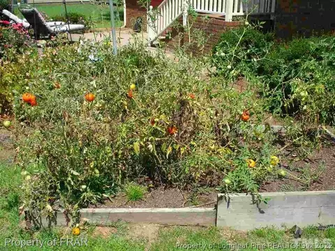 207 E D St, Erwin, NC 28339 photo 25