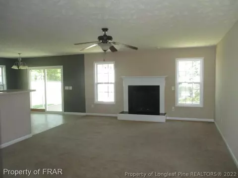 261 Tower Dr, Broadway, NC 27505 photo 2
