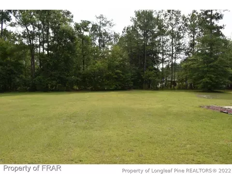 106 Switch, Hamlet, NC 28345 photo 4