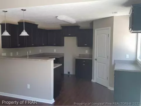 54 Schoomaker Ct, Broadway, NC 27505 photo 4